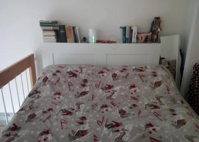 White House 公寓 *