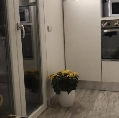 Apartament White House *